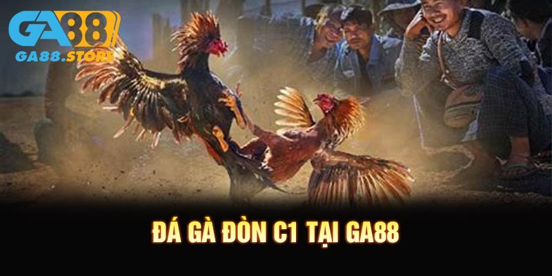 Đá Gà Đòn C1 Tại GA88 - Sân Chơi Cá Cược Kịch Tính Hàng Đầu