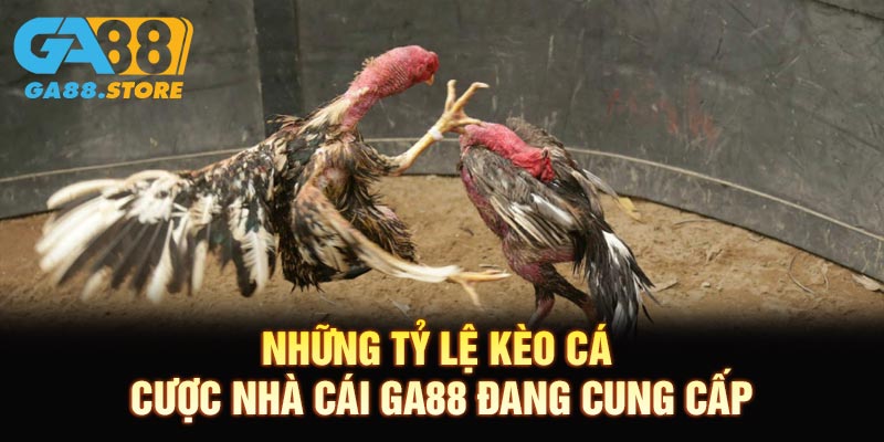 Những tỷ lệ kèo cá cược nhà cái GA88 đang cung cấp