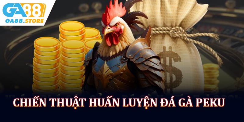 Chiến Thuật Khi Huấn Luyện Đá Gà Peku