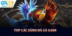 Top Các Sảnh Đá Gà GA88 Chất Lượng Được Nhiều Người Lựa Chọn